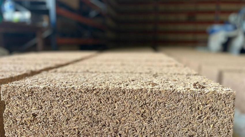 Cânhamo como Alternativa para a Indústria Civil - ADWA Cannabis